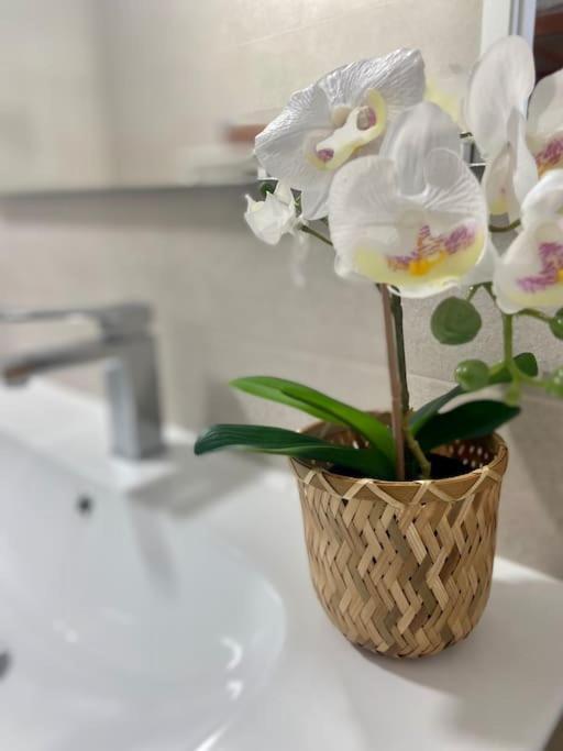Cayón Precioso Loft En Caion Rocha, Sobre La Arena Y El Mar 아파트 외부 사진